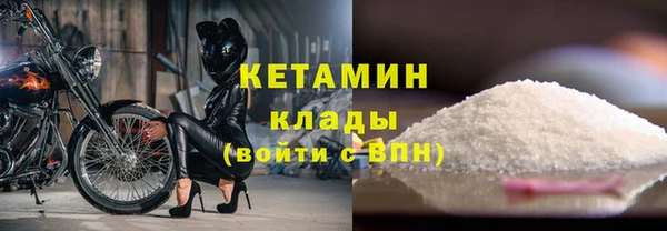 крисы Няндома