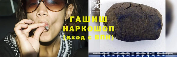 крисы Няндома
