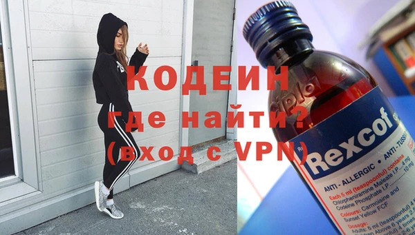 крисы Няндома