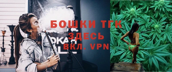 крисы Няндома