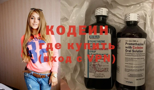 крисы Няндома